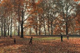 Children playing under huge Chenar trees in autumn, Nishat Bagh, Srinagar (photo) 