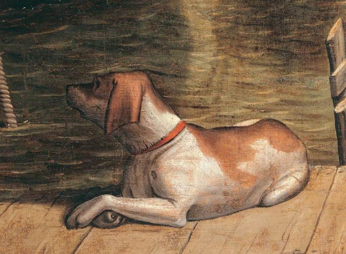 Detail. Curled up dog pier collar faithfulness. von 