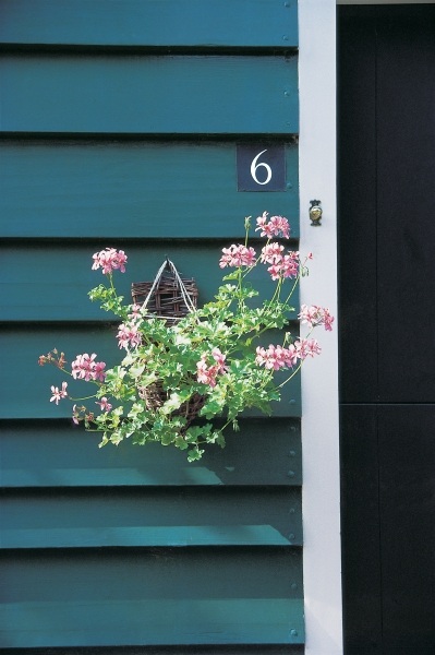 Flower-pot hung from peg on one of the door''s blue slats showing six number (photo)  von 