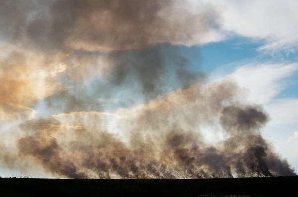 Forest Fire, Everglades National Park (photo)  von 