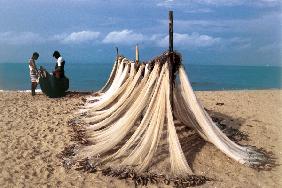 Fishing net used on Karwar coast (photo) 
