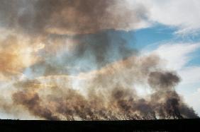 Forest Fire, Everglades National Park (photo) 