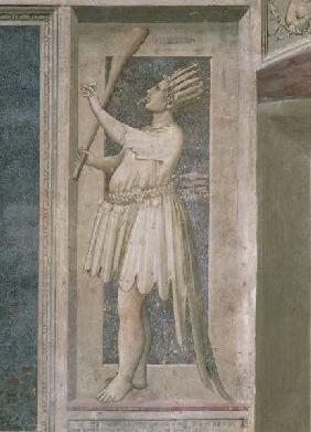 Giotto, Stultitia
