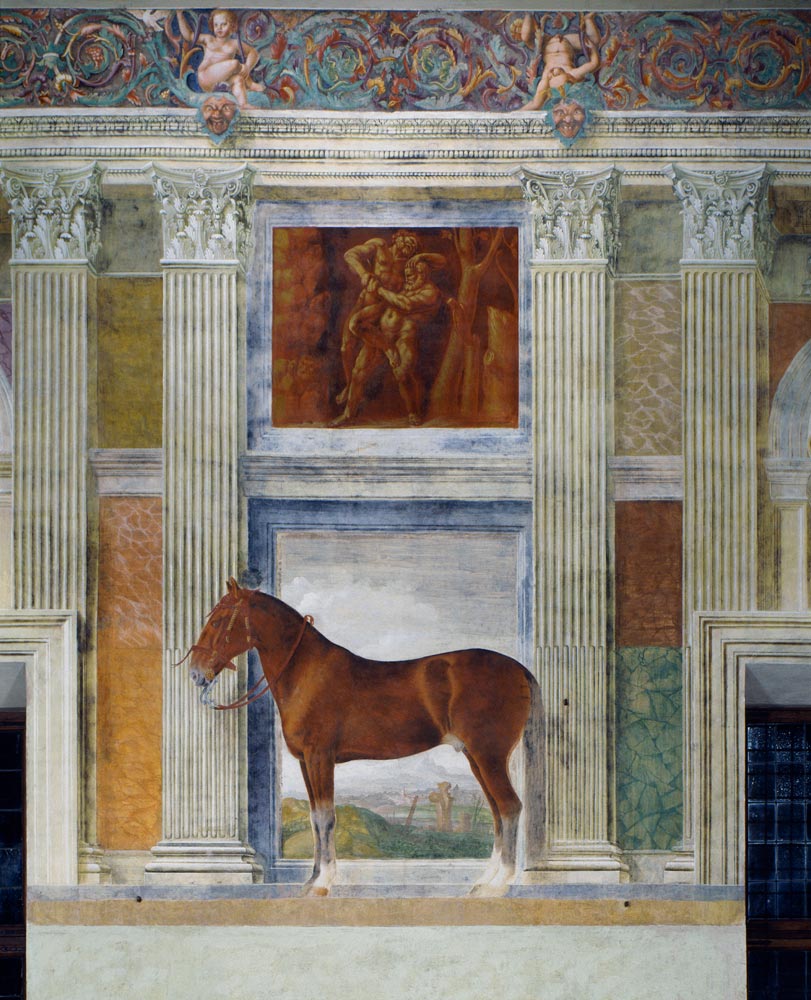 Mantua, Palazzo del Te, Sala dei Cavalli von 