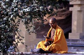 Monk at prayer at Bodhi Temple (photo) 