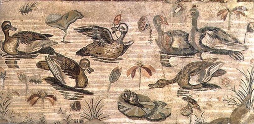 Scene of waterfowl on the Nile from the House of the Faun, Pompeii, 2nd century BC (mosaic) von 