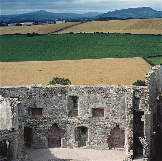View from the Keep, Raglan Castle von 