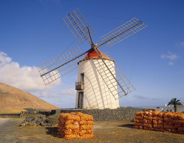 Windmill (photo)  von 