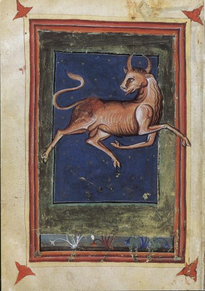 Zodiac, Taurus / from Zothorus von 