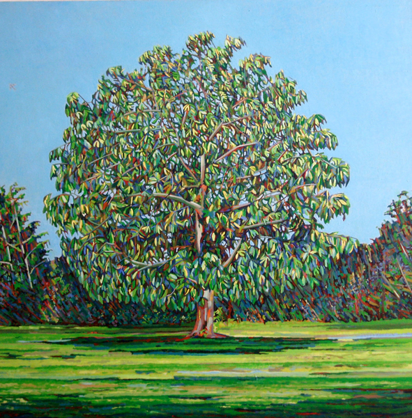 Bow Tree Summer von Noel Paine