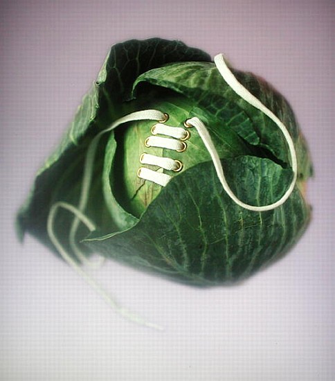 Cabbage with laces, 2000 (colour photo)  von Norman  Hollands