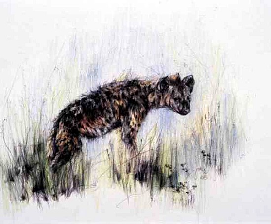 Baby Hyena, 1995 (pen, pencil and crayon on paper)  von Odile  Kidd