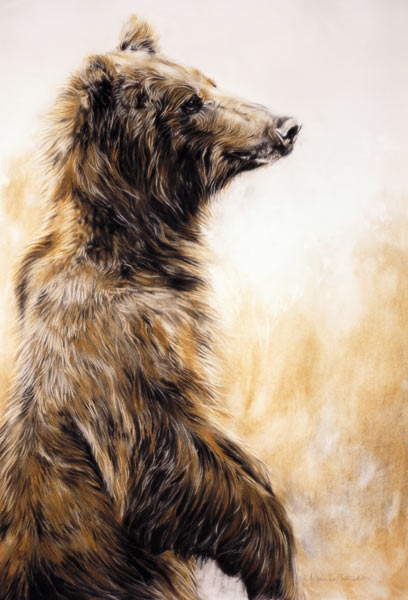 Grizzly Bear 2 von Odile  Kidd