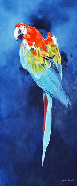 Red and Blue Macaw, 2002 (acrylic on linen) 