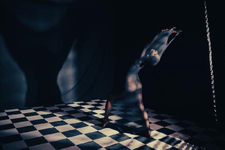 Der Schatten eines Schachbrettpfingstrosens