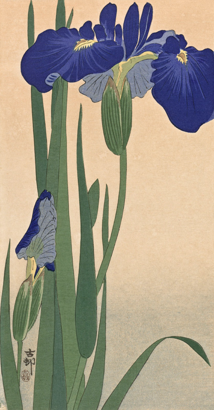 Blaue Lilien von Ohara Koson