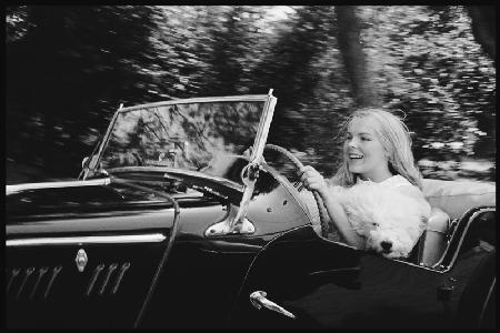 Janet Landgard driving with dog 1968