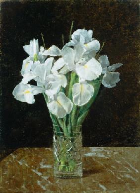 Irises 1894