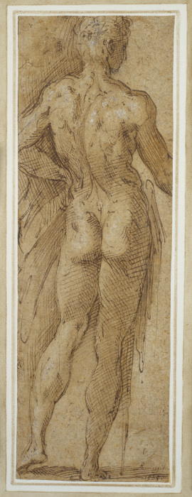 Stehender männlicher Akt in Rückenansicht von Parmigianino