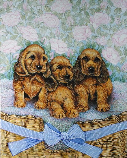 Brother Puppies (oil on canvas)  von Pat  Scott