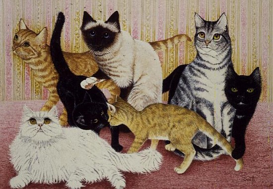 Stephanie''s Cats  von Pat  Scott