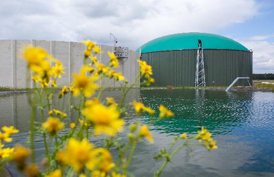 Biogasanlage in Turnow von Patrick Pleul