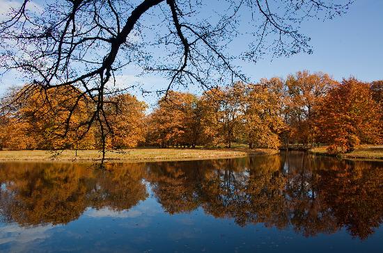 Branitzer Park im Herbst von Patrick Pleul