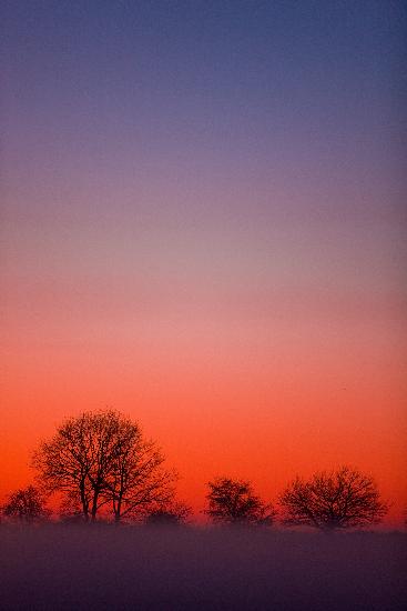 Farbenprächtiger Abendhimmel in Brandenburg von Patrick Pleul