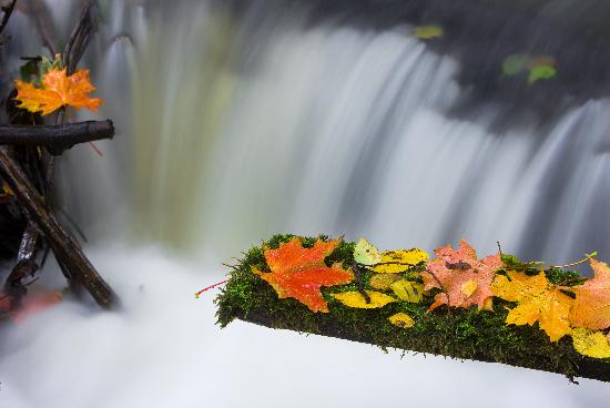 Herbstfeature in Märkisch-Oderland von Patrick Pleul