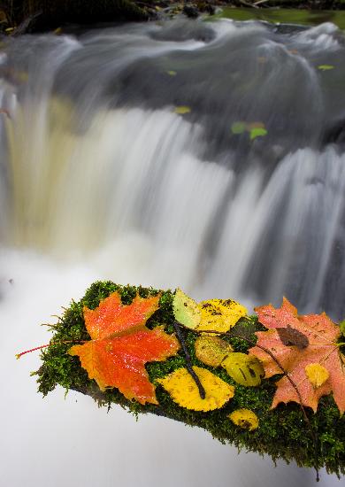 Herbstfeature in Märkisch-Oderland von Patrick Pleul