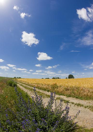 Landschaft der Uckermark in Brandenburg von Patrick Pleul