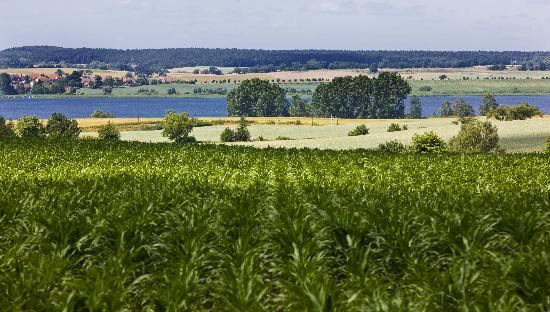 Landschaft der Uckermark in Brandenburg von Patrick Pleul