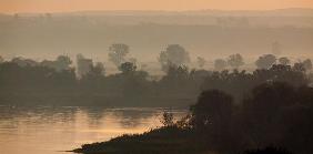 Morgennebel an der Oder