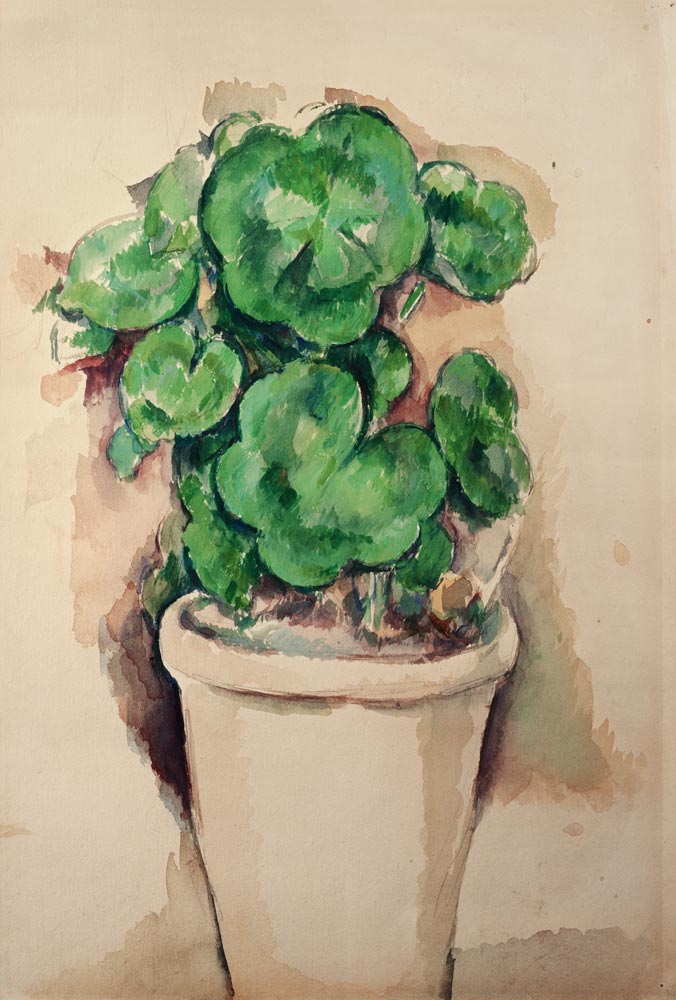 Pot of Geraniums von Paul Cézanne