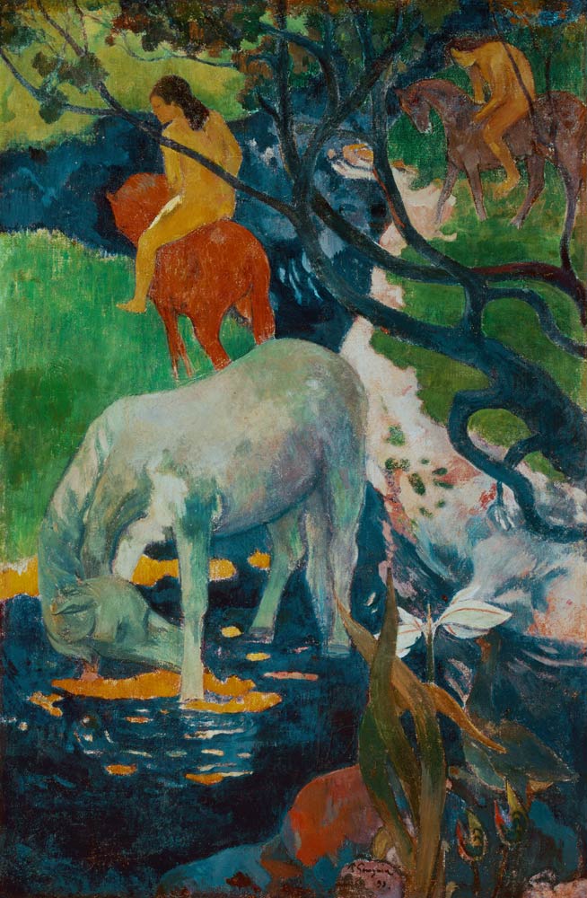 Der Schimmel von Paul Gauguin