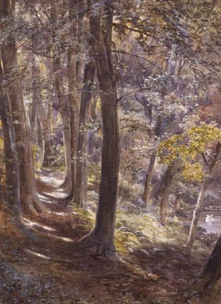 A Woodland Glade von Paul Jacob Naftel