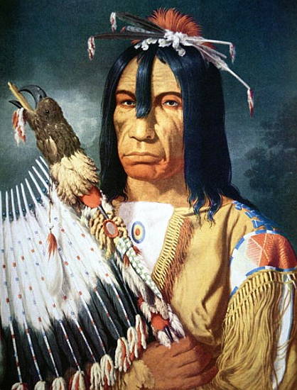 Native American Chief of the Cree people of Canada von Paul Kane
