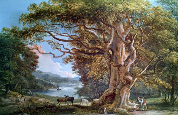 An Ancient Beech Tree von Paul Sandby