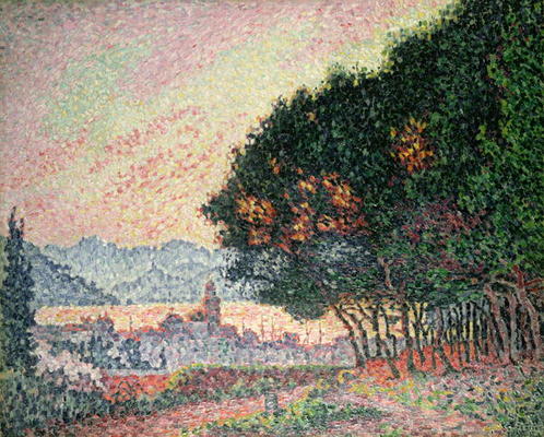 Forest near St. Tropez, 1902 von Paul Signac