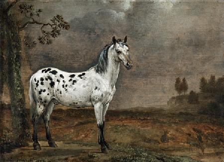 Das gescheckte Pferd 1653