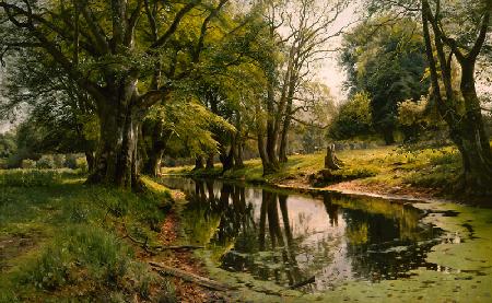 Stilles Wasser im Wald 1907