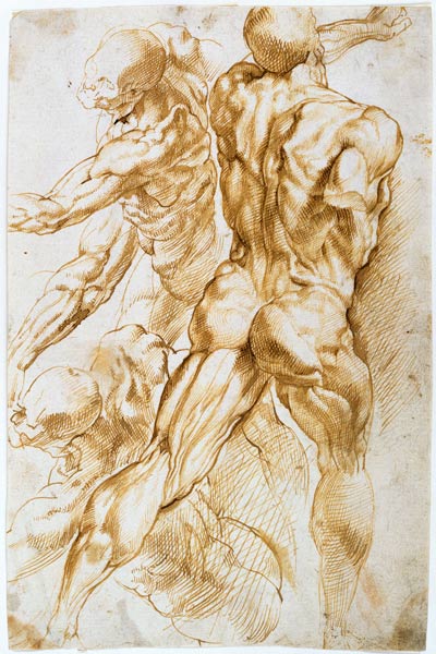 Anatomische Studie: Kämpfende Akte. von Peter Paul Rubens