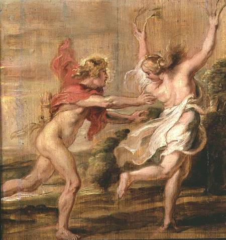 Apollo and Daphne von Peter Paul Rubens