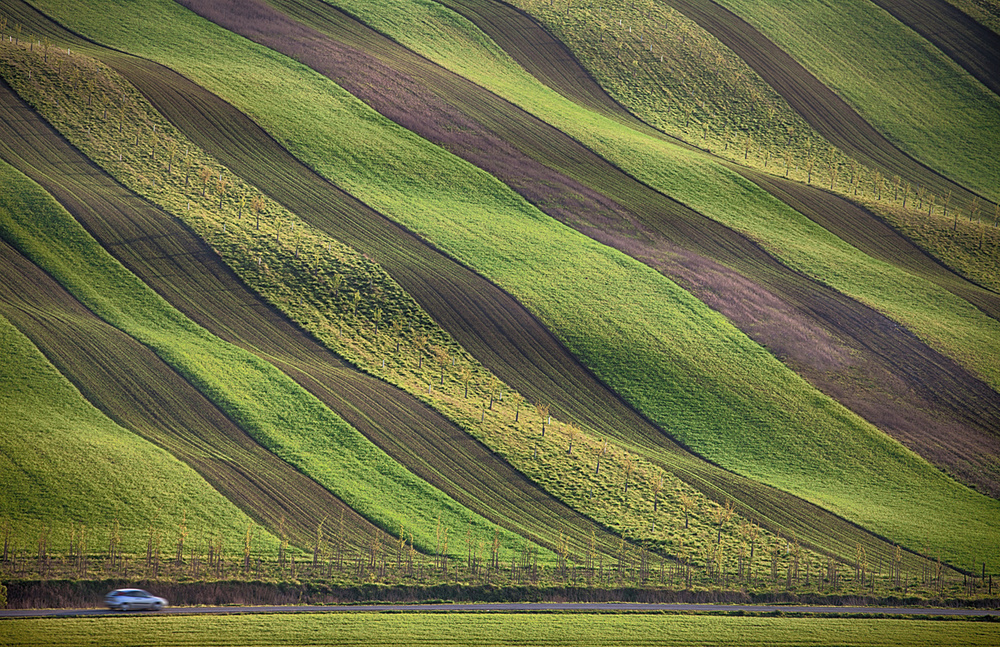 Streifen auf den Feldern von Peter Svoboda MQEP