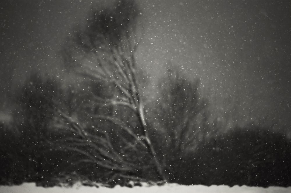 Winter von PhotoCosma