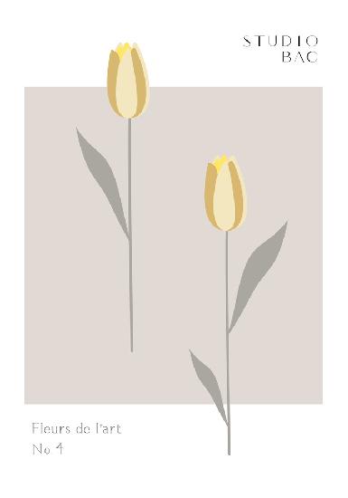 Tulips Studio Bac