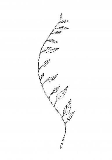 Wellenförmiger Zweig weiß