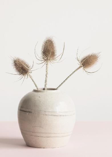 Getrocknete Blumen in Vase