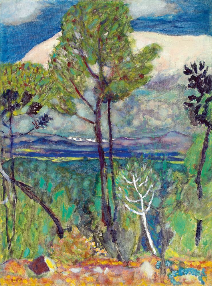 Landschaft von Pierre Bonnard