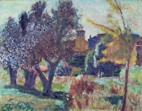 Landschaft mit Olivenbäumen und einer Kapelle 1924